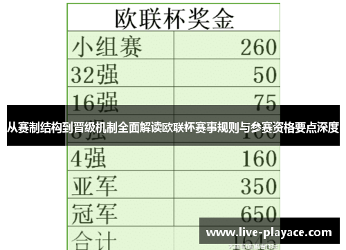 从赛制结构到晋级机制全面解读欧联杯赛事规则与参赛资格要点深度